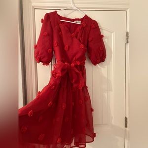 Ivy city co red party Pom Pom dress